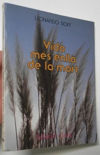 Portada del libro de Vida més enllà de la mort