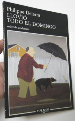 Llovió todo el domingo