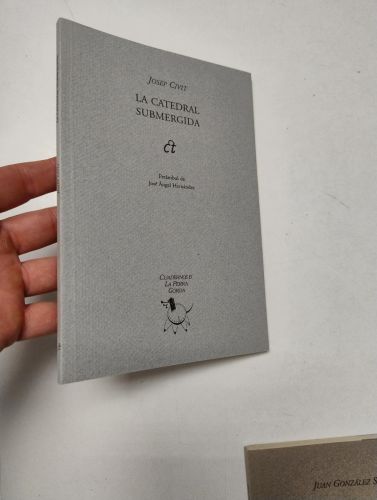 Portada del libro de La catedral sumergida