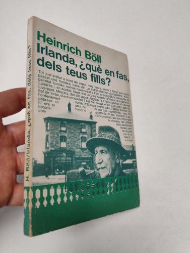 Portada del libro de Irlanda, qué en fas dels teus fills?