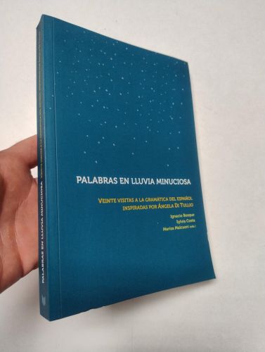 Portada del libro de Palabras en lluvia minuciosa