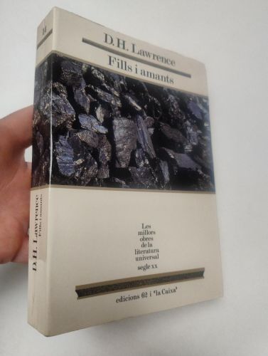 Portada del libro de Fills i amants