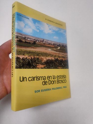 Portada del libro de Un carisma en la estela de Don Bosco