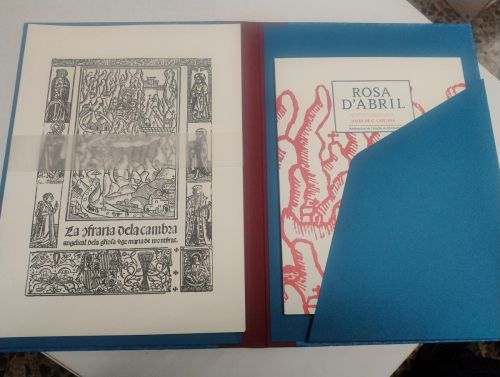 Portada del libro de Rosa d'Abril