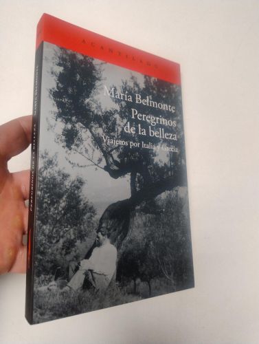 Portada del libro de Peregrinos de la belleza