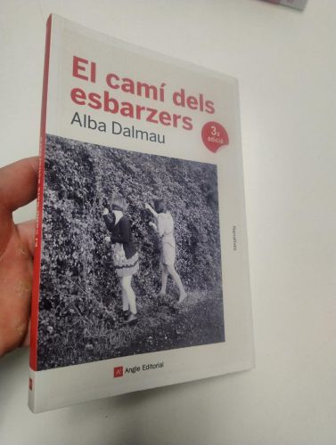 Portada del libro de El camí dels esbarzers