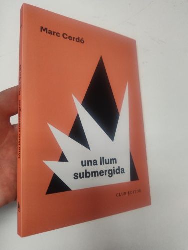 Portada del libro de Una llum submergida