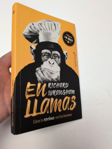 Portada del llibre de En llamas