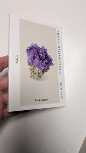 Portada del libro de La revolución de las flâneuses